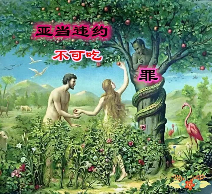 基督的十字架３：使我们脱离了律法和律法的咒诅-第2张