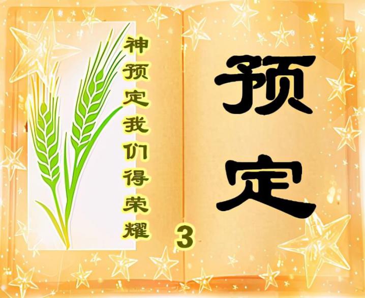 《预定3》神预定我们得荣耀